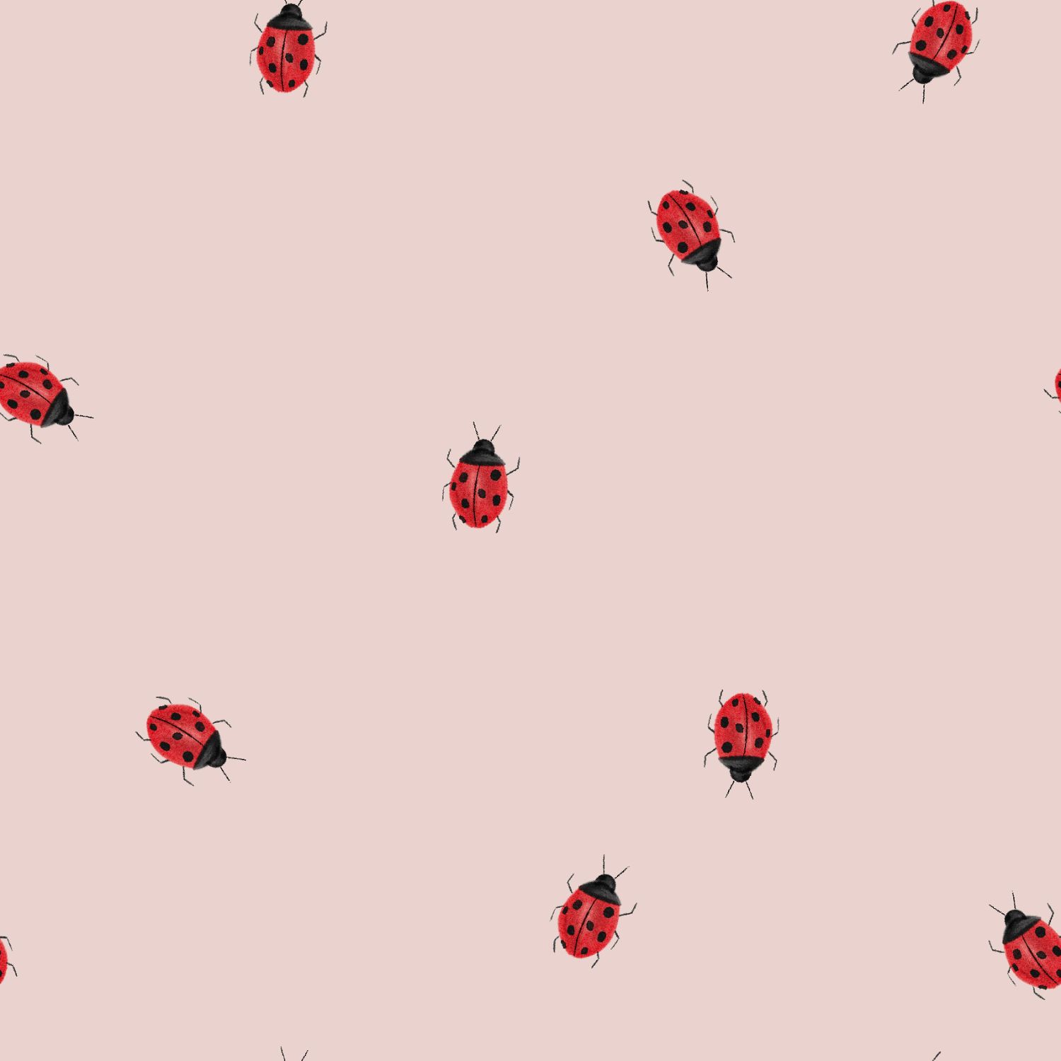 Jersey (Bio) Marienkäfer rosa - Eigenproduktion