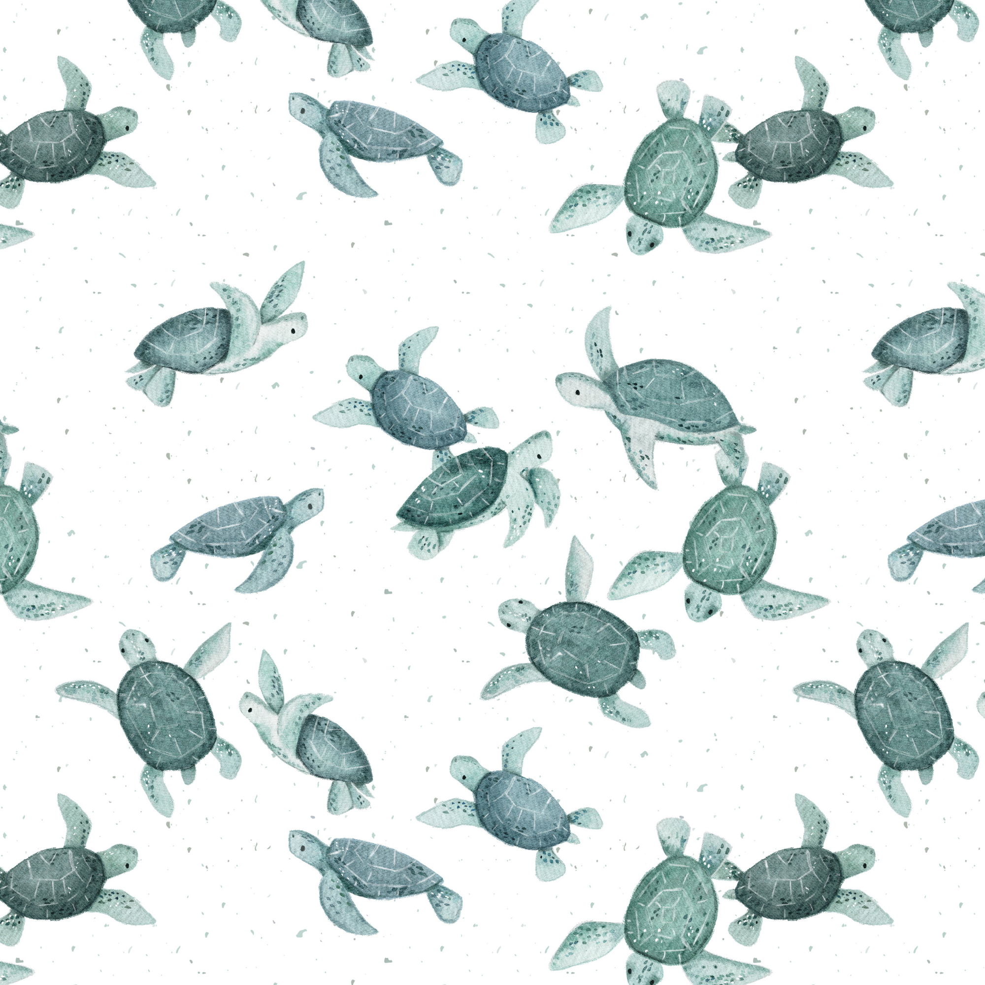 Jersey (Bio) Schildkröten - Eigenproduktion